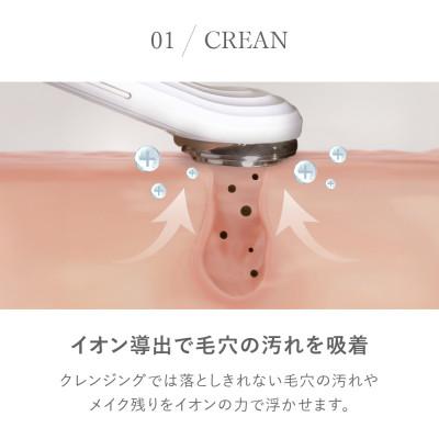 ふるさと納税 犬山市 【LOABI/ロアビ公式】1台13役 美顔器 NITENA ニテナ |  | 01