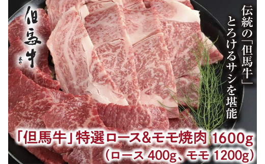 
【但馬牛】特選ロース＆モモ 焼肉用 1600g（ロース400g、モモ1,200g）【A4ランク以上】
