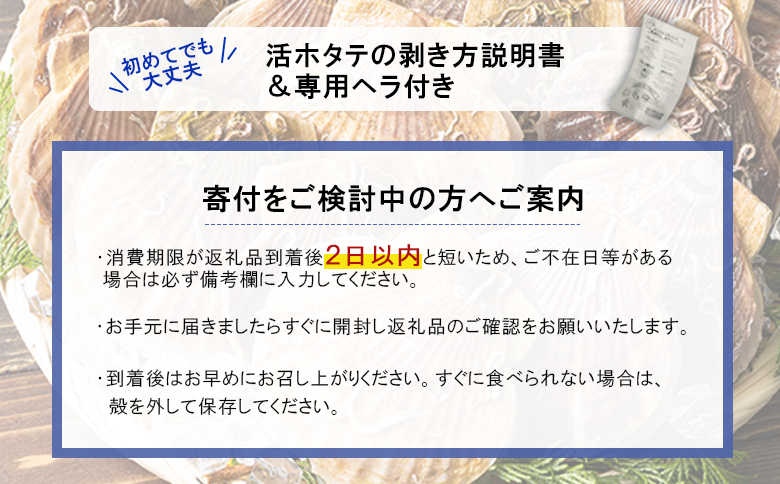 北海道 羽幌町産 殻付き活ホタテ 約3kg（15～20枚・ヘラ付き）【0910202】