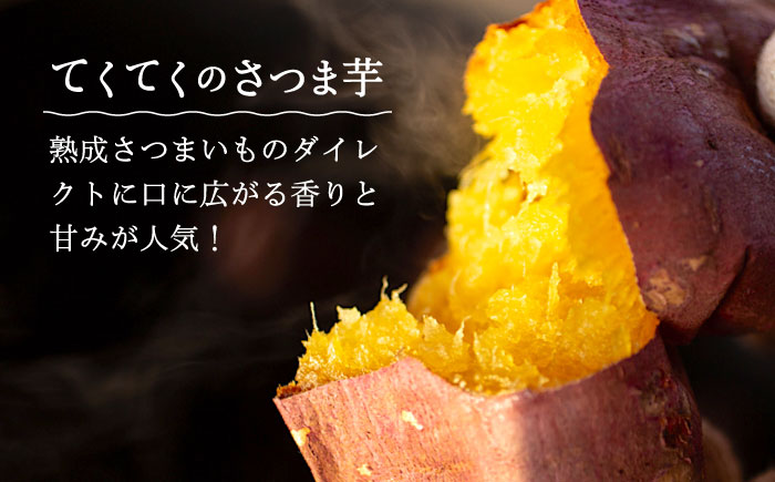 【全12回定期便】【さつまいもの甘みがぎゅっと詰まったタルト】てくてくのさつまいもたると ホール5号　芋 スイーツ お菓子 ギフト 広島県＜峰商事 合同会社＞江田島市 [XAD069]
