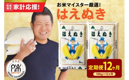 【定期便】 山形県産 精米 はえぬき 10kg（5kg×2袋）×12ヶ月 計120kg お米 マイスター 厳選米 