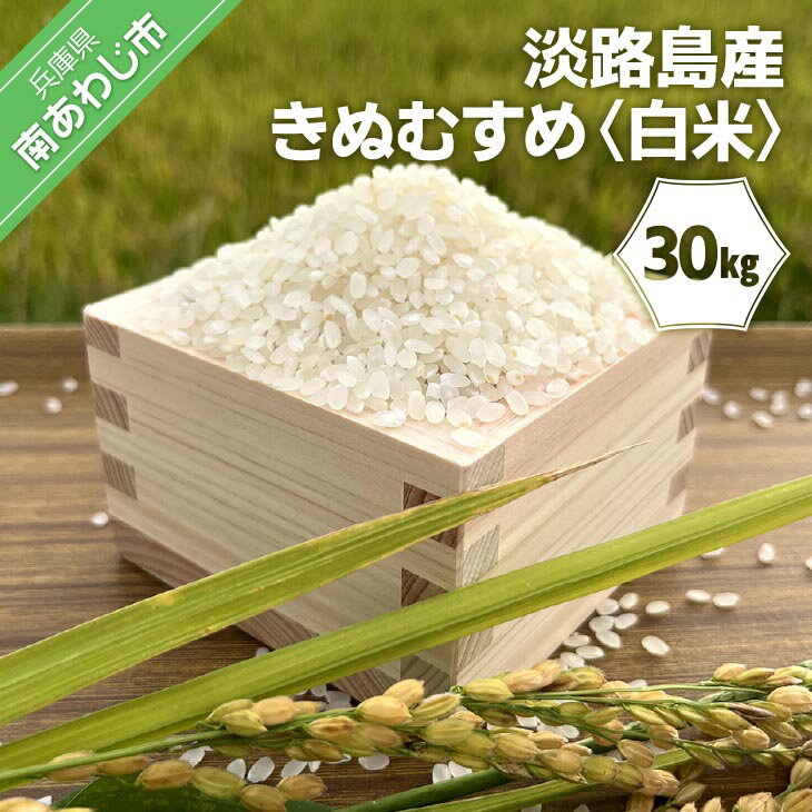 【ふるさと納税】【令和7年産】淡路島産きぬむすめ　白米30kg
