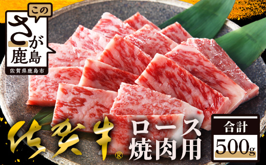 E-29 佐賀牛 ロース焼肉用500ｇ