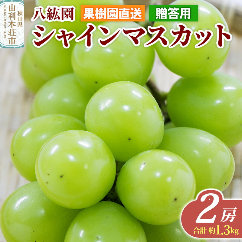 【ふるさと納税】秋田県 由利本荘市産 八紘園 シャインマスカット 2房（合計約1.3kg）