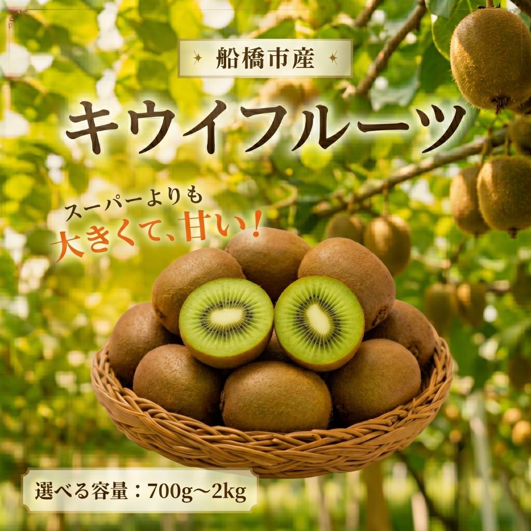 【ふるさと納税】キウイ ヘイワード キウイフルーツ 約 700g ~ 2kg 選べる サイズ 発送時期 化粧箱 化粧袋付き 青山キウイフルーツ農園 国産 ビタミンC 果物 フルーツ 先行予約