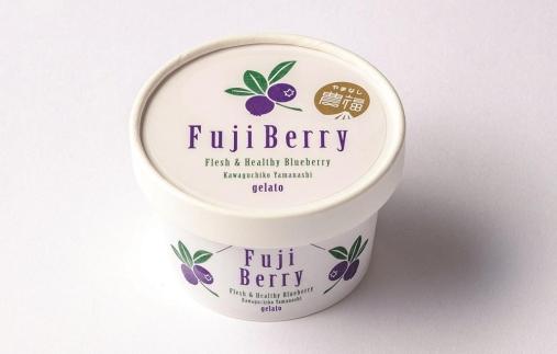 Fuji Berry ブルーベリーアイス食べ比べセット（小）