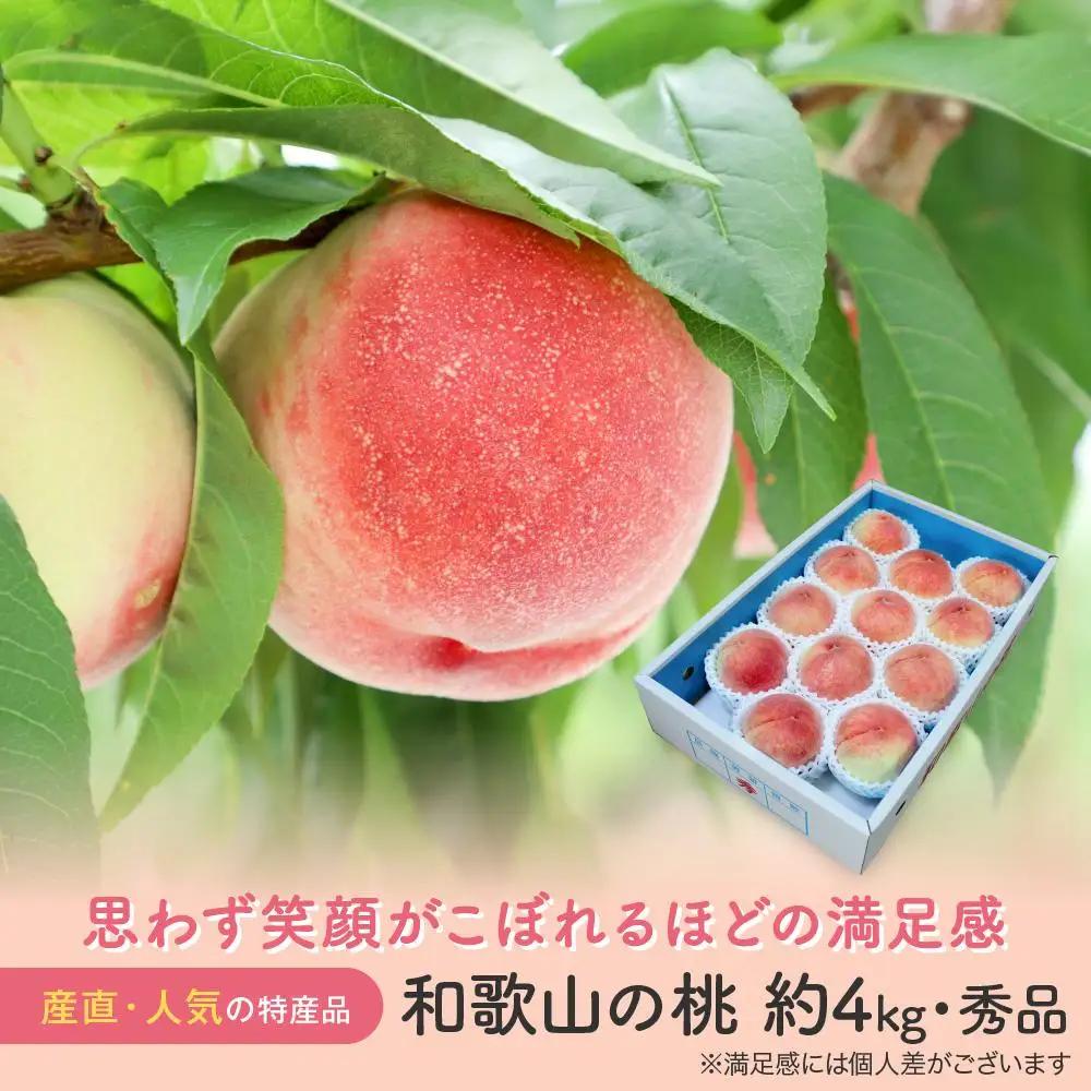 ［農園直送］朝採れ和歌山の桃　約4kg・秀品★2027年6月下旬頃～8月上旬頃順次発送★［TM168］