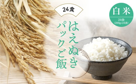 
                  はえぬき　パックご飯（白米）24食
                