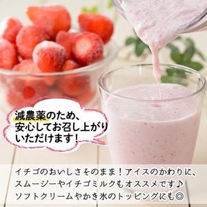 No.298 ＜先行予約受付中！＞冷凍いちご(計約2kg・約1kg×2) 国産 九州産 苺 いちご イチゴ 冷凍 果物 フルーツ 減農薬 アイス【片平観光農園】