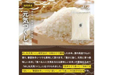 ご飯のおともセット(精米元気つくし2.5kg＋明太子100g)米 お米 白米 コシヒカリ キヌヒカリ 明太子 めんたいこ たらこ ごはんのお供 魚卵 魚介 海鮮＜離島配送不可＞【ksg0170】【南国