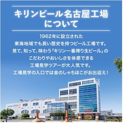 【毎月定期便】キリン ビール と ノンアル 詰合【 ラガー・ラガーゼロ 】350ml 各1箱全3回【4087988】
