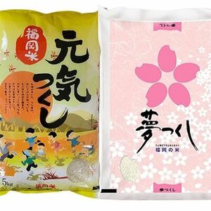 【先行予約】【令和7年産】福岡県産米食べ比べ【無洗米】夢つくしと元気つくしセット 計20kg 吉富町/株式会社ゼロプラス[BGAA099]