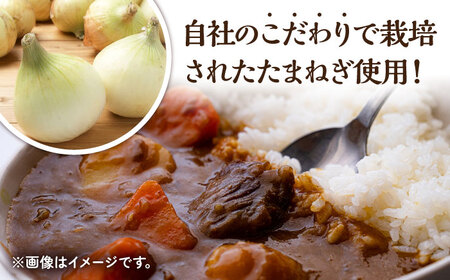 【12回定期便】薬膳スパイスビーフカレー 4食 /自然庵 [UCQ009] カレー