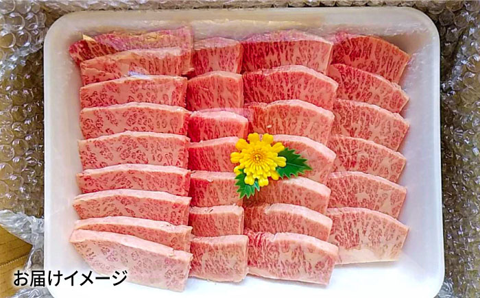 【全6回定期便】極上やみつき五島牛カルビ 600g【肉のマルヒサ】 [PCV025]