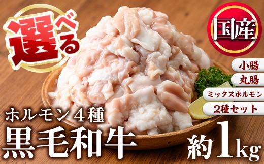 
                  No.1001 ＜4種から選べる＞国産！黒毛和牛ホルモン(ミックスホルモン計1kg/上ホルモン計1kg/丸腸計1kg/ミックスホルモン＋小腸合計1.1kg)  国産 九州産 牛肉 黒毛和牛 和牛 ホルモン 焼肉 鉄板焼き もつ鍋 タレ漬け 冷凍 小分け 寄附額改定【LRプラスK】
                