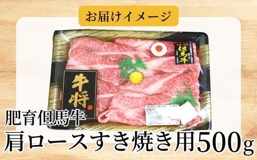 肥育但馬牛肩ロースすき焼き用500ｇ※発送目安：入金確認後1ヶ月程度※申し訳ありませんが配送日の指定ができない商品です。02-06