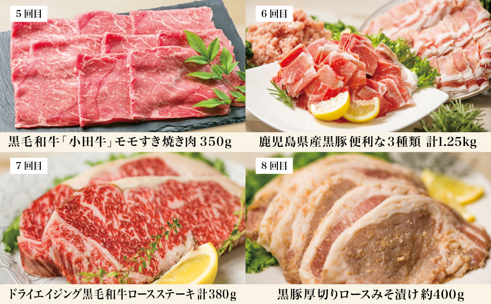 畜産王国・南さつま市のオールスター厳選お肉定期便（10回）牛肉 豚肉 すき焼き しゃぶしゃぶ 赤身 焼肉 味噌漬け 冷凍 定期便 鹿児島 南さつま市