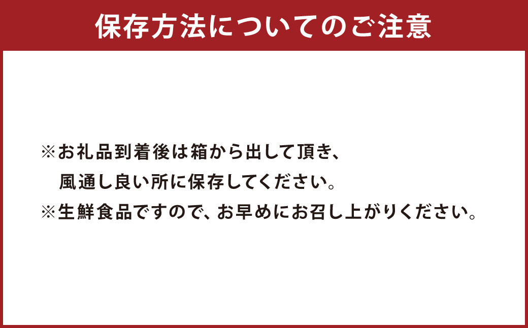 特別栽培 不知火（サイズミックス）約5kg