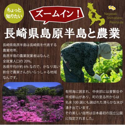 ふるさと納税 南島原市 旬な野菜を出荷します!おまかせ新鮮野菜15種類セット |  | 02