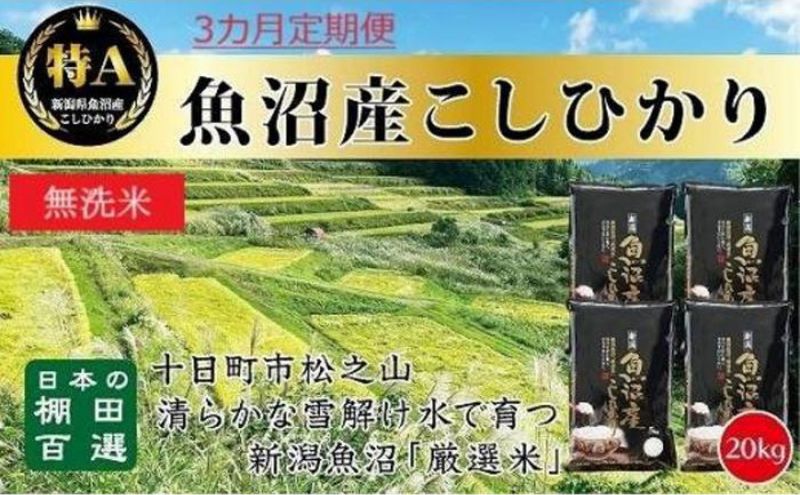 【令和7年産新米予約】 【食味鑑定士厳選】無洗米 3カ月 定期便 日本棚田百選のお米 天空の里 魚沼産 こしひかり 20kg(5kg×4)×3回 米 お米 コメ