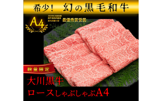 国産黒毛和牛 大川黒牛 ロース しゃぶしゃぶ用 スライス A4（250g×2パック） 国産 黒毛和牛 A4 ロース 牛肉 しゃぶしゃぶ 牛しゃぶ 鍋 牛 ビーフ 肉 食品 高知県 大川村 F6R-023