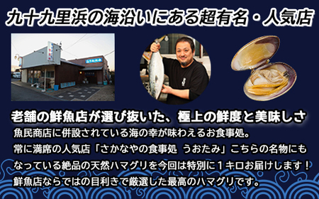 地元で50年続く鮮魚店が目利き！ 九十九里産 天然はまぐり 1kg SMBL001 千葉県 山武市 はまぐり ハマグリ 蛤