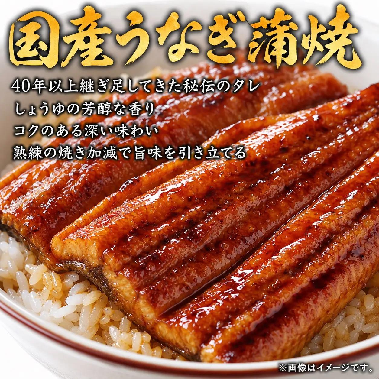 定期便【全3回/毎月お届け】和歌山からお届け おさかな定期便　サバ・ウナギ・サケ【tkb131】