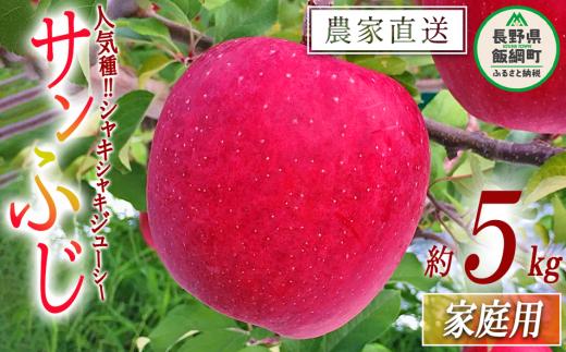 りんご サンふじ 家庭用 5kg 中村ファーム 沖縄県への配送不可 2025年11月下旬頃から2026年3月上旬頃まで順次発送予定 令和7年度収穫分 長野県 飯綱町 [0862]