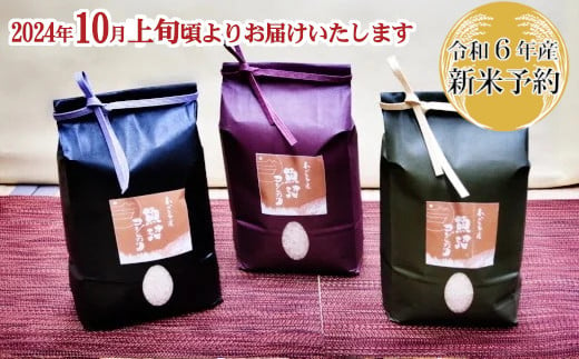 令和4年産 わかとち産 魚沼コシヒカリ特別栽培棚田米 贈答用1.5kg×3袋