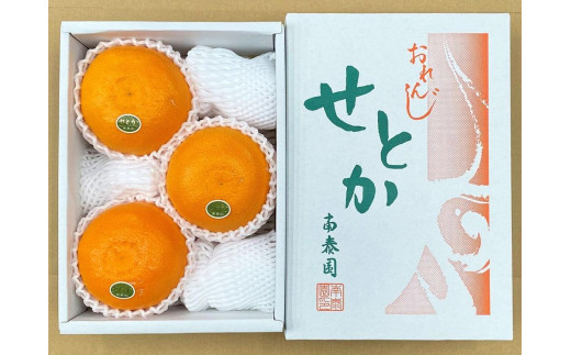 
                  ハーフ 化粧箱 柑橘の大トロ ハウス せとか 厳選 大玉 3玉入 南泰園
                