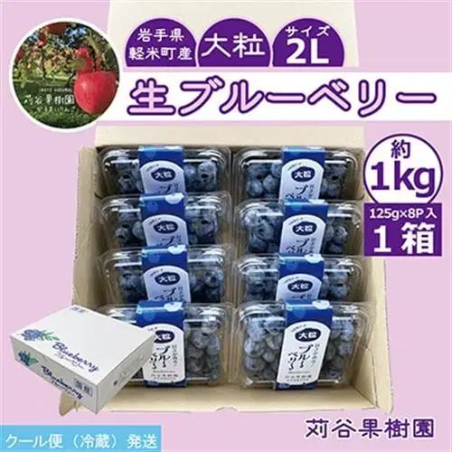 【期間限定】【2L】 大粒ブルーベリー約1kg《125g×8パック入》 岩手県軽米町_ブルーベリーブルーベリーブルーベリーブルーベリーブルーベリー_【配送不可地域：離島・沖縄県】【1518035】