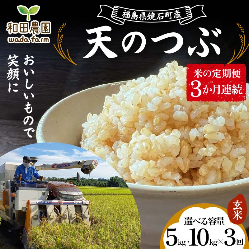 【ふるさと納税】《選べる容量》〈先行予約 2025年産米〉【米の定期便】福島県鏡石町産 和田農園「天のつぶ」玄米《5kg 10kg》 3か月連続 F6Q-203var