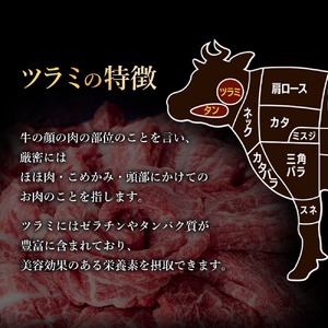 ＜2026年2月発送予定＞国産厚切り牛タンツラミ焼肉セット(計400g) 国産 牛肉 希少部位 希少 牛タン ツラミ 厚切り 焼肉 焼き肉 特選 【sm-DH003-2602】【カタセイ】