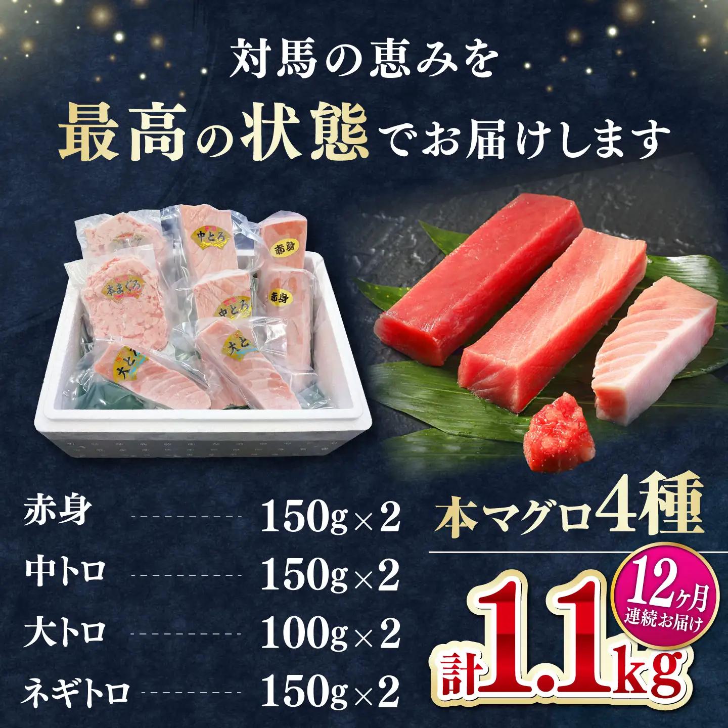 【全12回定期便】 対馬産 本マグロ 4種 計1.1kg（赤身/中トロ/大トロ/ネギトロ）[WAH039] マグロ まぐろ トロ