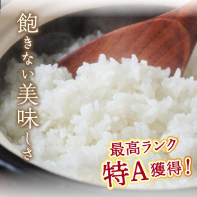 ふるさと納税 京丹後市 【毎月定期便】【直売所直送】検査1等米 丹後コシヒカリ 玄米5kg全3回 |  | 01