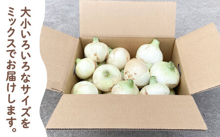 新玉ねぎ （サイズ混合） 約5kg / 玉葱 早生 [IBQ003]