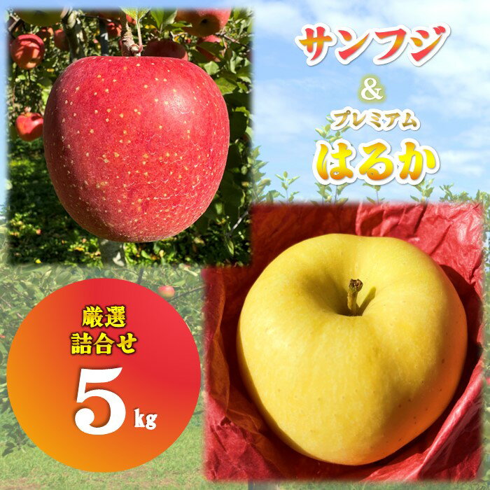 【ふるさと納税】＼予約受付 11月下旬より発送開始予定／【北上市産 りんご 】プレミアムはるか ＆ サンフジ [ 厳選 詰合せ セット ] 5キロ (約13〜18玉) 林檎 リンゴ 5kg 国産 産地直送 フルーツ 果物 岩手県 北上市 E0254 金鈴園