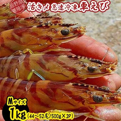 車海老 活き〆急速冷凍車海老 Mサイズ 約1kg
