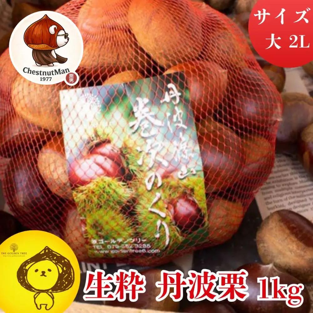 【早期予約/2026年10月中旬以降発送】生粋丹波栗　巻次のくり　大 2L　1.0ｋｇ | プレミアム栗 期間限定 お取り寄せグルメ 高級 特産品 名産品 マロン 関西 西日本 GDT004