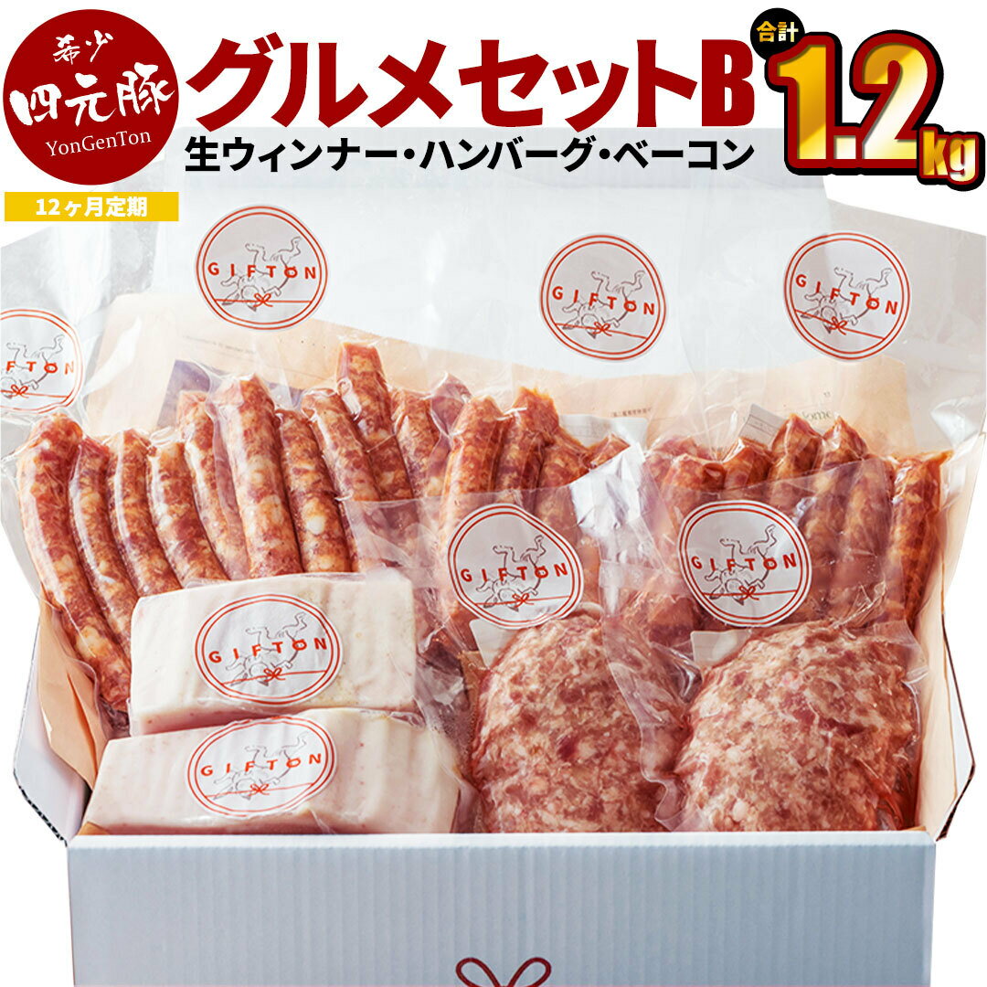 【ふるさと納税】【定期便12ヶ月】GIFTON 岩手県産四元豚 グルメセットB 1.2kg （生ウィンナー2種・生ハンバーグ・熟成ベーコンブロック） ギフト お肉