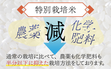 【先行予約】令和7年度産 新米 特別栽培米 コシヒカリ 4kg【11月上旬より順次発送】
