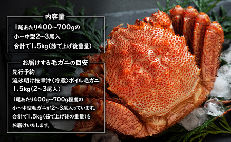 〈冷蔵発送〉流氷明け 枝幸沖 ボイル毛ガニ 1.5kg (2～3尾入) 先行予約【2027年3月頃発送予定】旬の味覚［丸中三興水産］オホーツク枝幸 前浜【 蟹 魚介 北海道 枝幸 】