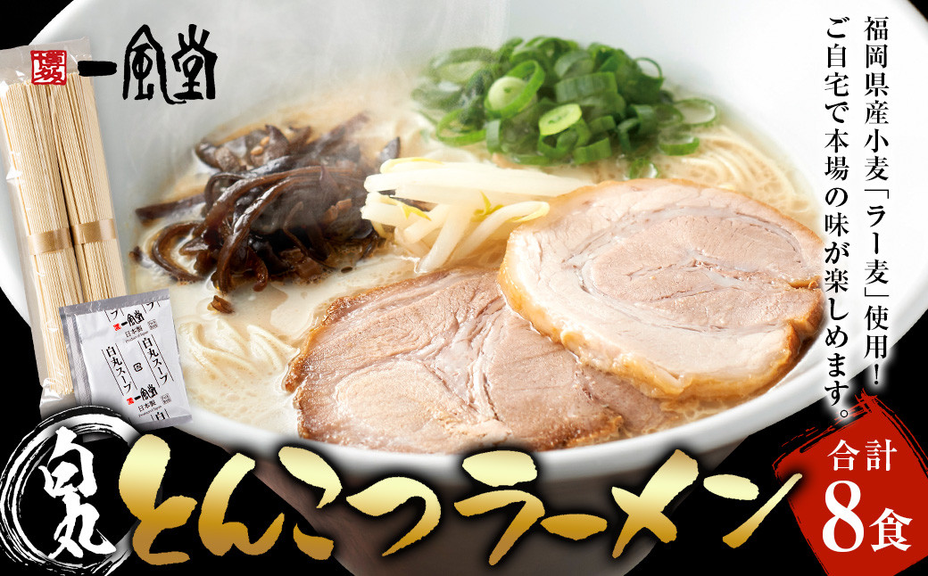 ラー麦使用「一風堂」とんこつラーメン 白丸(8食)