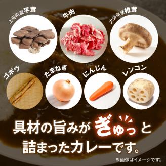 ビーフスパイスカレー5個セット T07305