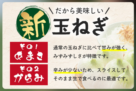 鹿島市産 新玉ねぎ 合計5kg