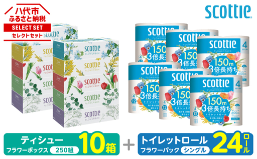 スコッティ 組み合わせ トイレットペーパー シングル 24ロール ティッシュ 250組 10箱 トイレットロール ティシュー