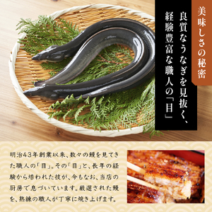 食事券 川豊 うな重 肝吸い セット 2名様 うなぎ 国産うなぎ チケット 券 ギフト券 ペア ペアチケット