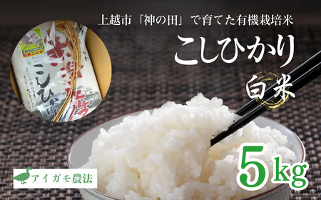 新米予約 令和7年 新潟県産コシヒカリ アイガモ農法 5kg 5キロ JAS有機栽培米 上越市 三和区神田 富永農産 送料無料 安全・安心こしひかり