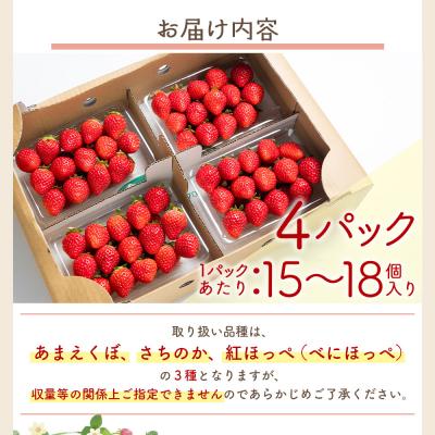 ふるさと納税 香南市 いちご 4パック 計60個程度 yr-0054 |  | 02