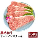 【ふるさと納税】肉質4等級以上！おおいた和牛の黒毛和牛サーロインステーキ 計640g 約160g×4枚 おおいた和牛 おおいた豊後牛 豊後牛 黒毛和牛 和牛 サーロインステーキ サーロイン ステーキ 4等級以上 真空パック お肉 牛肉 国産 九州産 大分県産 送料無料